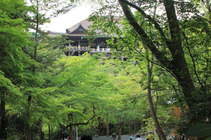 清水寺を下から眺める