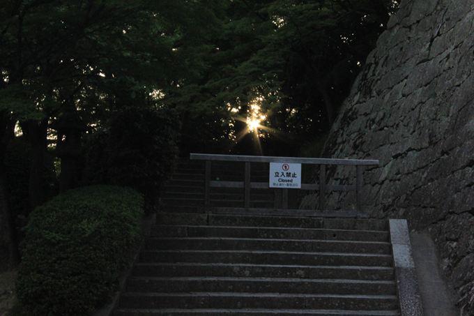 夕日が差し込む