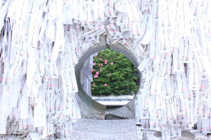 安井金比羅宮  この穴を通り抜ける