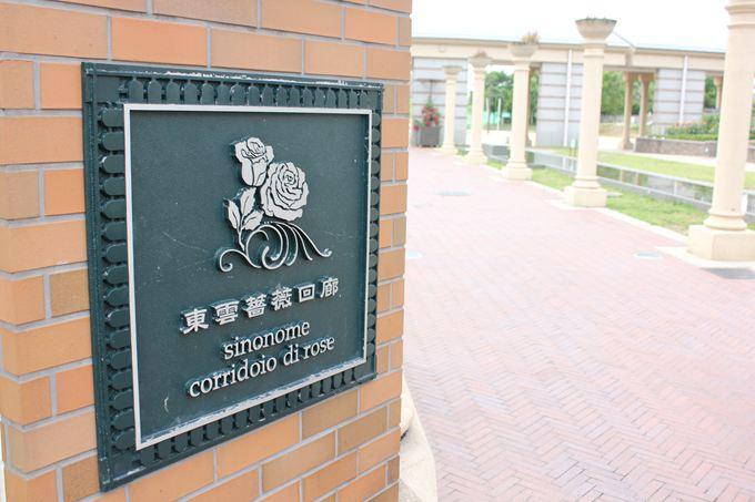 東雲薔薇回廊 sinonome corridoio di rose